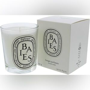 Diptyque candle Baies scent 6.5